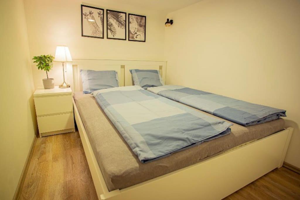Cosy 2 Bedroom Flat In Akacfa St., Sol Budapeste Exterior foto