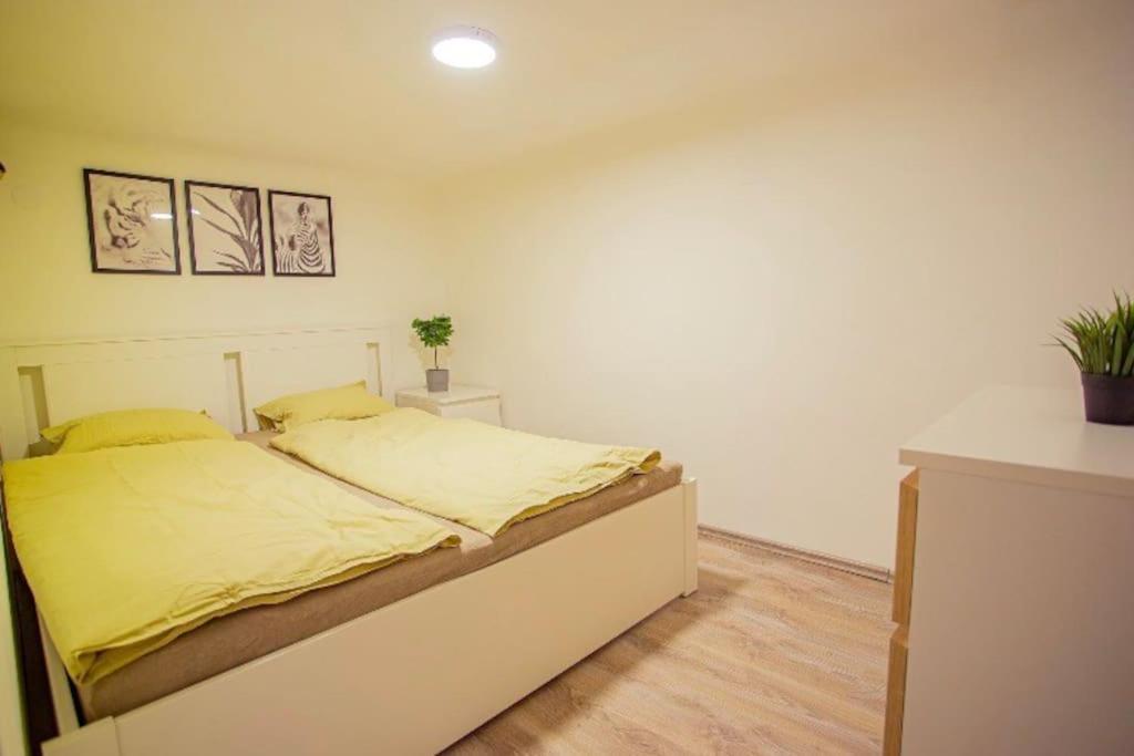 Cosy 2 Bedroom Flat In Akacfa St., Sol Budapeste Exterior foto